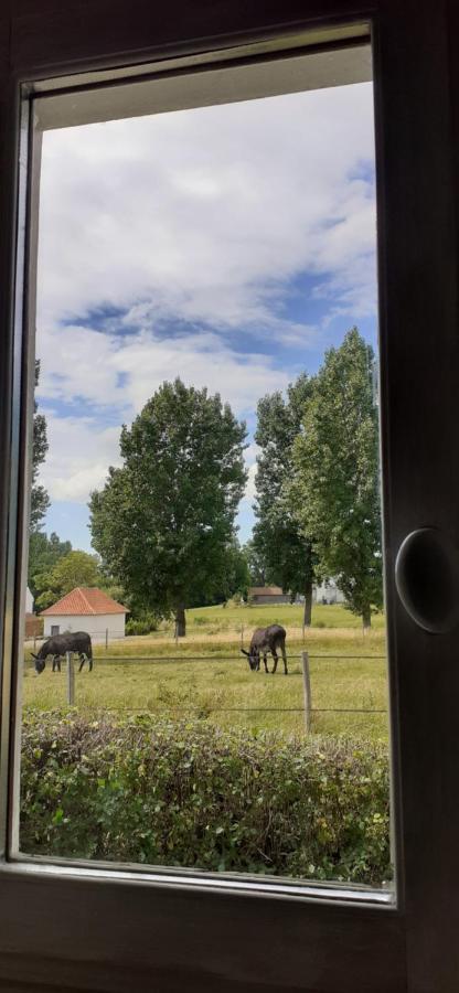 Chambres D'Hotes B&B Cote D'Opale La Fermette Du Lac Ardres Kültér fotó